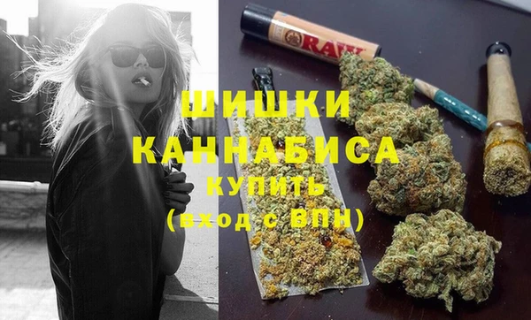 дмт Мегион