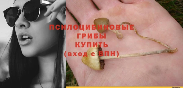 дмт Мегион