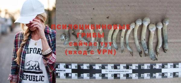 первитин Медвежьегорск