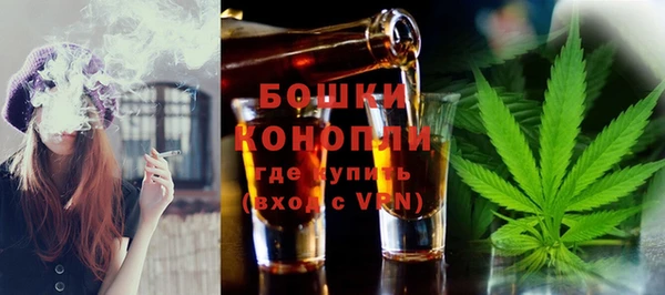дмт Мегион